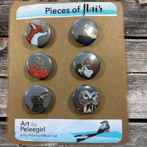 Könnte beinhalten: Ein Set mit sechs runden Knöpfen mit grauen Hintergründen und bunten Tierillustrationen. Die Knöpfe zeigen einen Fuchs, einen Igel, eine Eidechse auf einem Pilz, ein Eichhörnchen, eine Eule und ein Kaninchen. Die Knöpfe sind in zwei Reihen zu je drei auf einem braunen Hintergrund angeordnet, mit dem Text "Pieces of flair" oben und "Art by Peleegirl" unten.