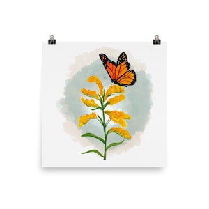 Monarch Butterfly on goldenrod Poster