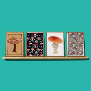 Mushroom Greeting Card Collection