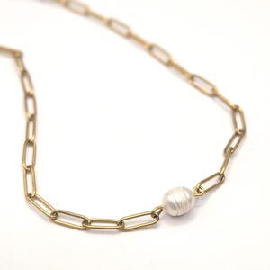 pearl necklace: gold plated surgical stainless link chain, genuine freshwater pearl choker, paperclip style