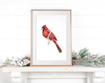 Cardinal Bird Watercolor Print, Cardinal, Bird Fine Art, Bird Wall Art, Fine Art Print, Bird Art, Minimalist Bird, Giclée, Archival print