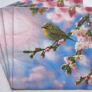 4 servilletas para decoupage, petirrojo al sol de la mañana, pájaro en una rama floreciente, papel artesanal Shabby Chick, servilletas de papel de 3 capas, 13'' 33 cm, BIR06