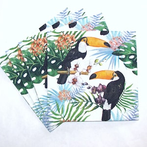 4 tovaglioli per decoupage, tucani con piante della giungla, tovaglioli con animali selvatici, tucani e orchidee in fiore, carta artigianale, fauna selvatica, BIR09