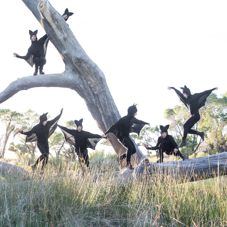 May include: A group of people in black bat costumes with attached wings are posing on a fallen tree trunk. The costumes include bat ear headbands. The scene is outdoors with tall grass and a bright sky.