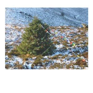 Op de afbeelding: Een versierde kerstboom staat in een besneeuwd veld, versierd met kleurrijke ornamenten en gebedsvlaggen. De boom is het middelpunt, tegen de achtergrond van een besneeuwde heuvel en een heldere lucht.