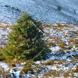 EH 55X 6 kaartenpakket Optimisn (Simonside Hills, Northumberland, met kerst)