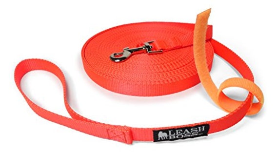 50 foot leash