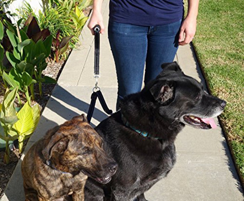 Double Dog Leash Adjustable Dog Leash Coupler with Handle Etsy