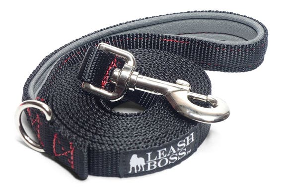 15 ft leash