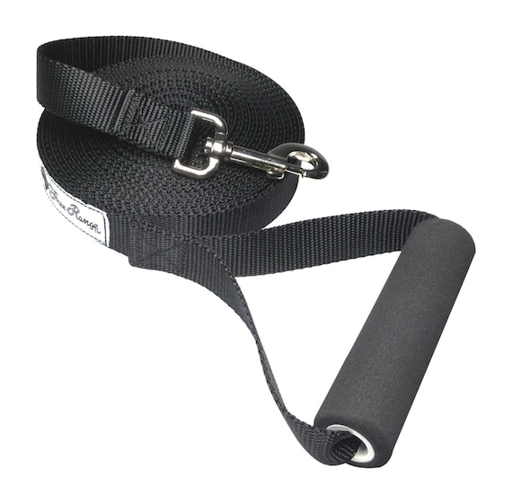 30 foot retractable leash