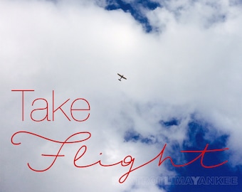 Take flight. Aviation adventure travel art pilot gift.