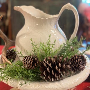 1800 Pitcher Basin - Etsy