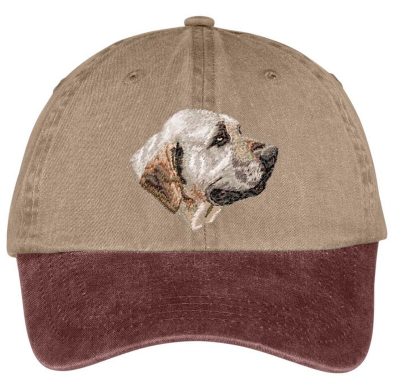 May include: A brown and maroon baseball cap with an embroidered image of a white dog's head.