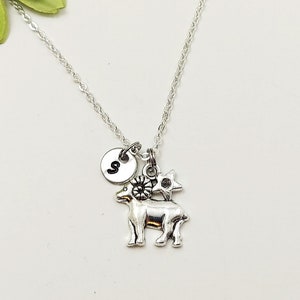 Silver Aries Necklace, Zodiac Necklace, Astrology Necklace, Zodiac Charm, Aries Charm, Zodiac Jewelry, Birthday Gift, Aries Jewelry Gift