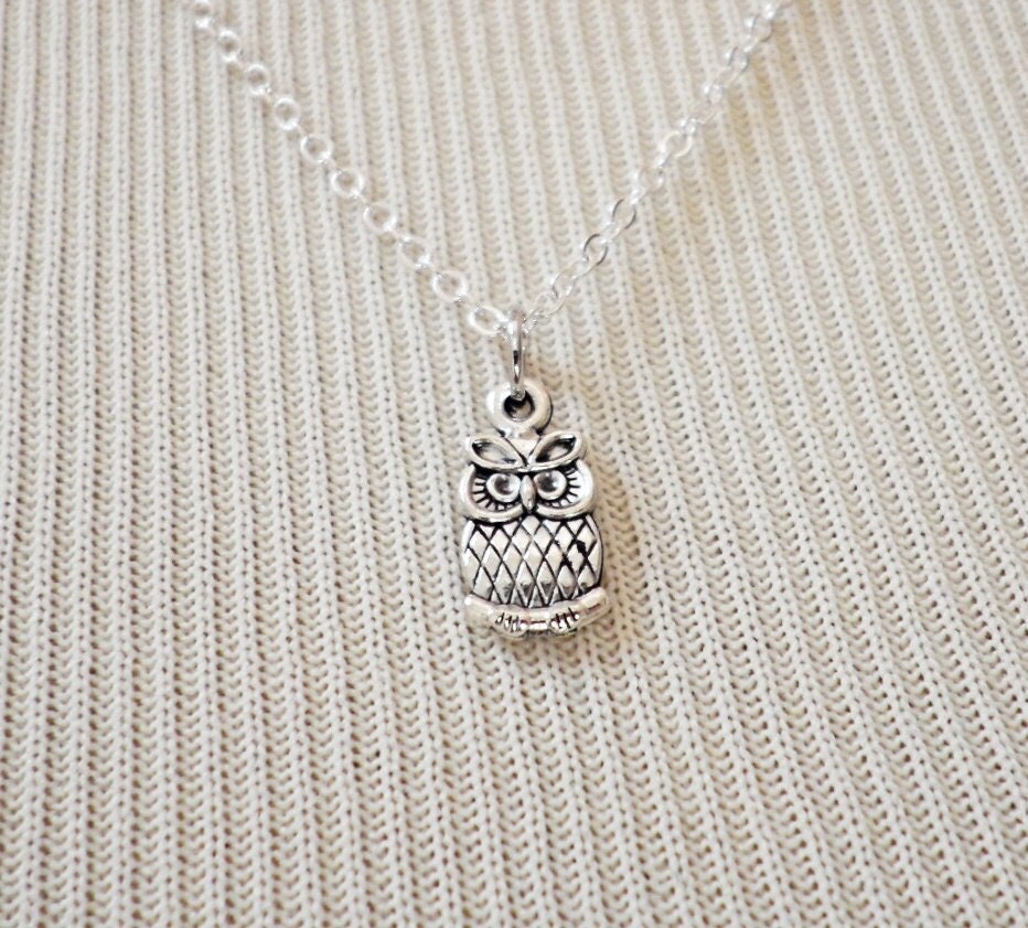 Owl Necklace, Charm Necklace, Tiny Necklace, Delicate Necklace, Barn Owl Pendant, Dainty Owl Necklac