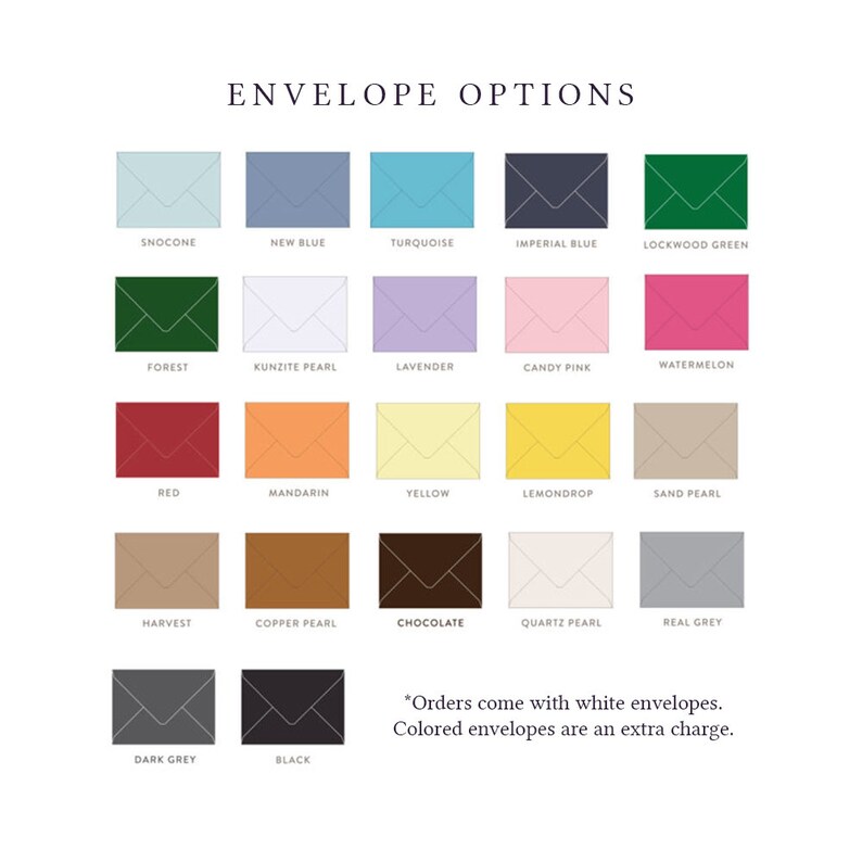 Picture Parchment Graduation Announcement Etsy