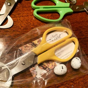 Game changer! QUAIL EGG SCISSORS make it easier to crack open those tiny quail or pigeon eggs! Farm hack!