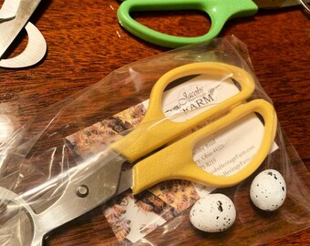 Game changer! QUAIL EGG SCISSORS make it easier to crack open those tiny quail or pigeon eggs! Farm hack!