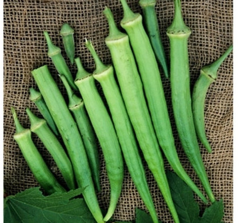 okra project okra project