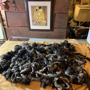 May include: A pile of raw, unprocessed wool fibers, predominantly black and gray, rests on a light orange towel. The fibers are loose and textured. A framed print of Gustav Klimt's "The Kiss" hangs in the background.