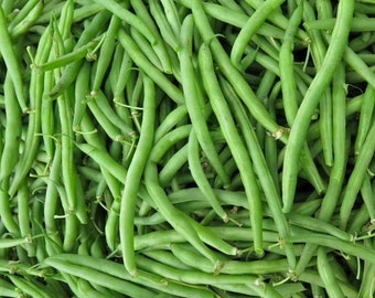 May include: A close-up image of a bunch of fresh green string beans. The beans are arranged in a pile, showing their long, slender shape and vibrant green color.