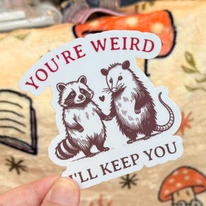 You’re Weird I’ll Keep You Sticker, Trendy Water Bottle Decal, Best Friend Gift, Bestie Sticker, Funny Opossum Raccoon Accessory