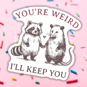 You’re Weird I’ll Keep You Sticker, Trendy Water Bottle Decal, Best Friend Gift, Bestie Sticker, Funny Opossum Raccoon Accessory