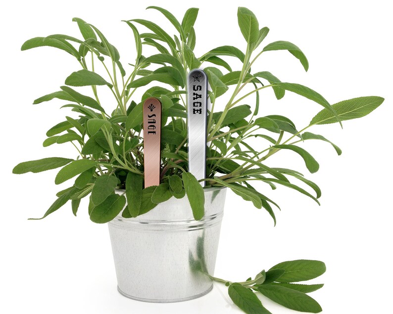 Tapered Metalgraph 06in Herb /& Garden Stakes Plant Markers