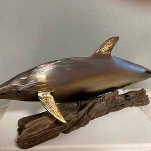 SPINNER DOLPHIN