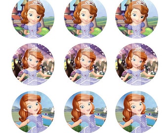 INSTANT DOWNLOAD - Sofia the First: Once upon a princess inspired 4x6 One Inch Digital Bottle Cap Images