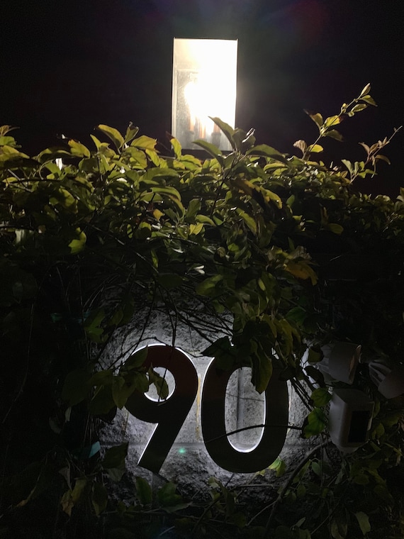 Laser Cut Stainless Steel Custom Made Laser Cut LED House Numbers