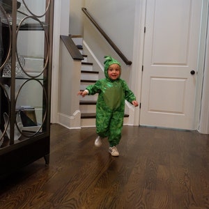 Toddler Costume, Dinosaur Costume size fits 2T to 4T