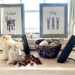 Soap Nuts/ Soap Berries/ Organic/ Laundry Soap/ Biodegradable/ Sustainable/ Laundry Detergent