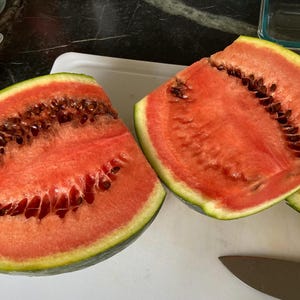 Watermelon Seeds/ Sugar Baby/ Heirloom/ Organically Grown/ Hand Harvested/ 25 Seeds