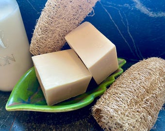 Juego de jabón de leche de cabra y luffa para lavar platos / Hecho a mano / Lotes pequeños / Ecológico / Cultivo orgánico
