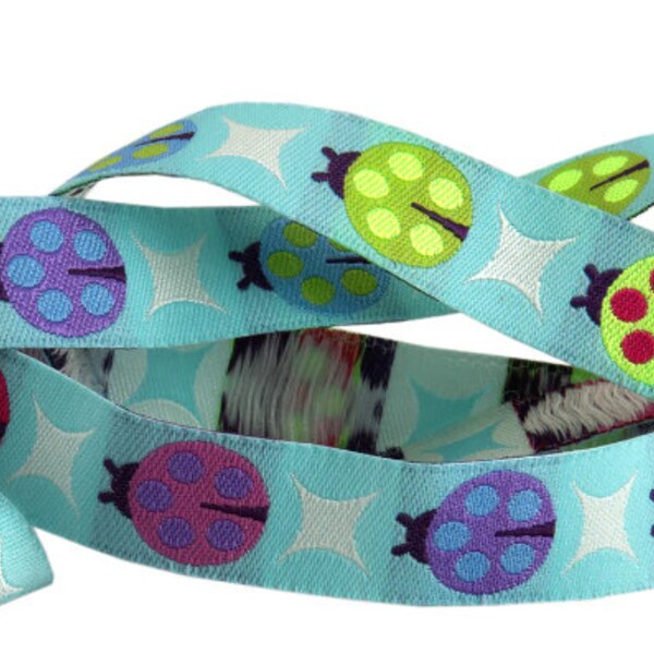 Lady Bug Ribbon - Etsy