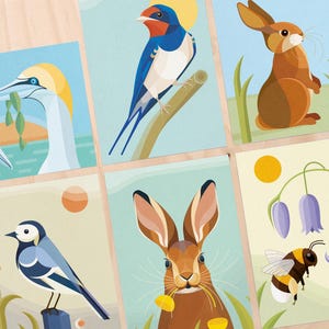Set sunny cards: Gannets, Swallow, Rabbit, Wagtail, Hare, Bumblebee | including envelopes