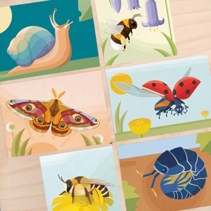 Set crawlies & tinies: Snail, Bumblebee, Emperor moth, Ladybug, Pantaloon bee, Pill bug | including envelopes