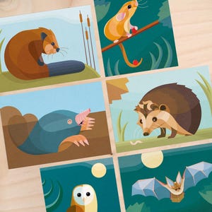 Set nocturnal animals: Bever, Dormouse, Mole, Hedgehog, Barn Owl, Bat | including envelopes