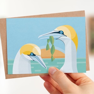 Postcard Gannet Bird | with envelope