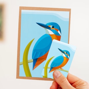 Ansichtkaart IJsvogel (tijdelijk als set met magneet) | met envelop