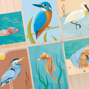 Set Animals in and around water: Stickleback, Kingfisher, Spoonbill, Grey Heron, Seahorse, Hermit crab | including envelopes