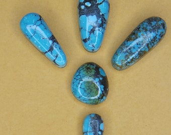 Stabilized Hubei Mixed  lot of 5 Turquoise Cabochon Cabs