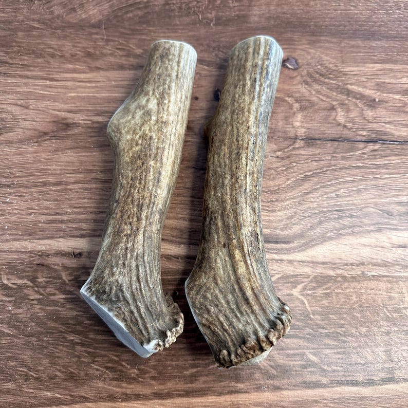 2 masticables gruesos de asta de alce para perros de 20 cm / Para masticadores agresivos / Razas grandes imagen 4