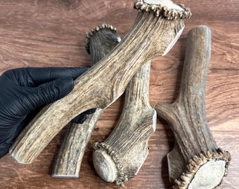 4 grandes masticables de asta de alce para perros, 23 cm de grosor / Para perros que mastican con fuerza / Paquete a granel de masticables para perros