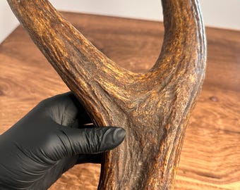 Monster Moose Brow Tine Fork 17.5" Dense Grade A Craft Supply