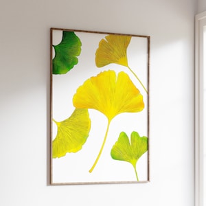 Yellow and Green Ginkgo Leaf Wall Decor in Watercolor Style. 5 Leaves for Natural Wall Art Decor Lovers