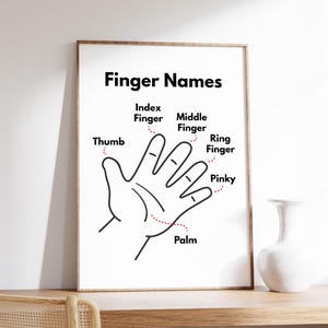 Póster con los nombres de los dedos, póster educativo para niños, recursos para profesores, póster educativo, decoración de habitaciones infantiles, descarga digital