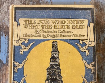 The Boy Who Knew What The Birds Said. Padraic Colum. 1918. Illustrated by Dugald Stewart Walker. Antique Children's Book. 100 years or older