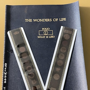 May include: A dark blue folio book titled "THE WONDERS OF LIFE" with the text "WHAT IS LIFE?" and two strips of film forming a V-shape. The film strips have circular images. The book has a spiral binding.